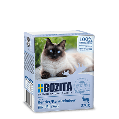 Bozita nassfutter katze - Die besten Bozita nassfutter katze ausführlich verglichen!
