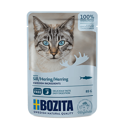 Auf welche Punkte Sie zu Hause beim Kauf bei Bozita nassfutter katze achten sollten