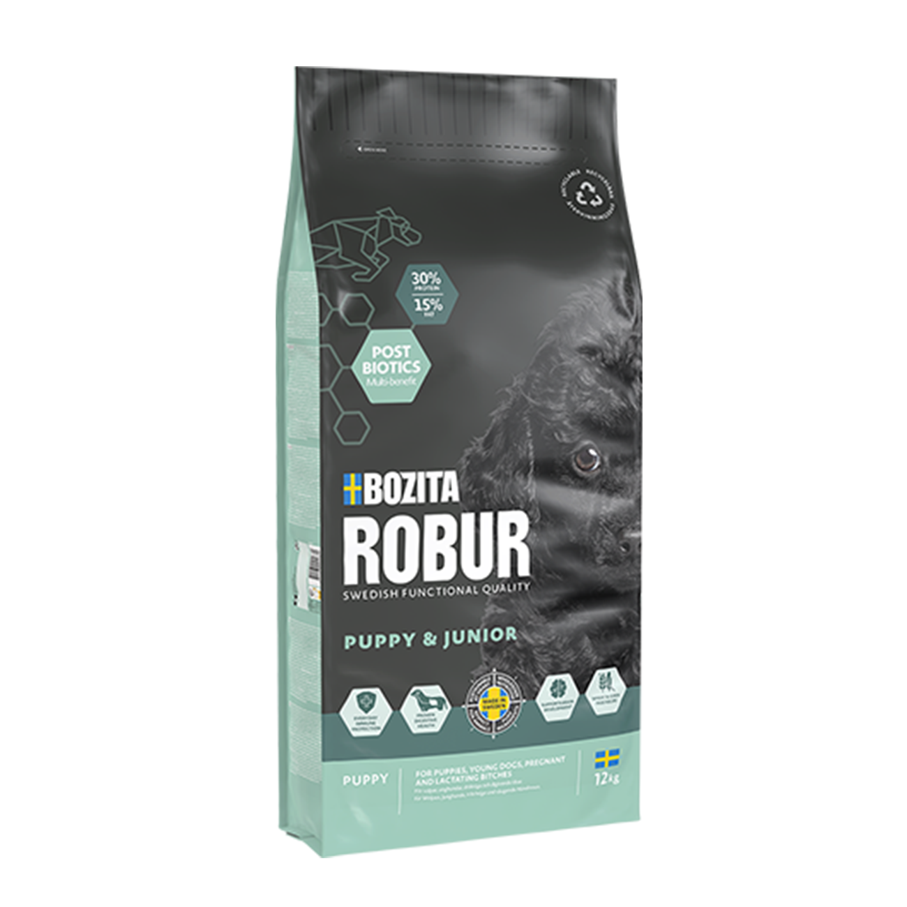 ROBUR PUPPY & JUNIOR