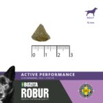 ROBUR ACTIVE PERFORMANCE