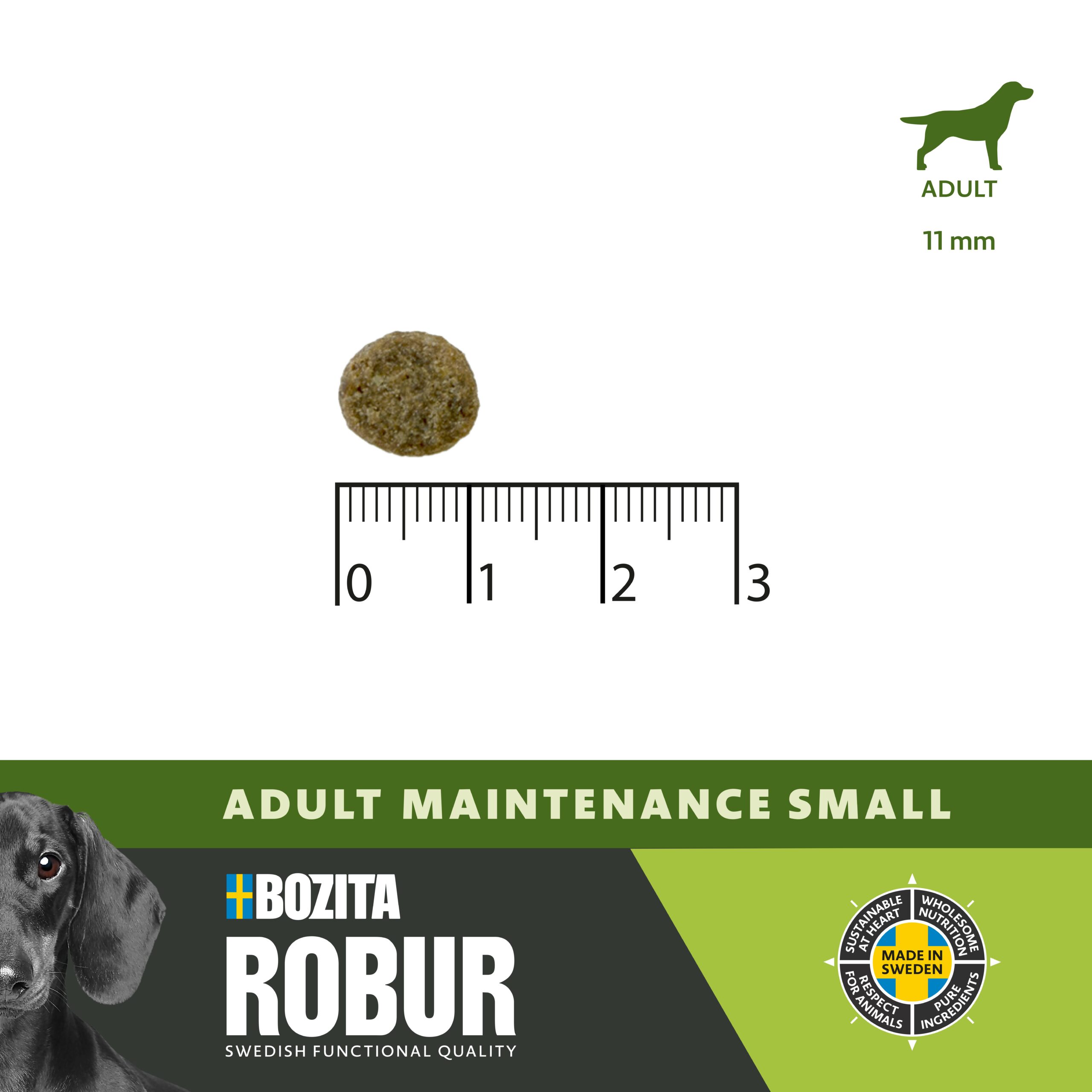 ROBUR ADULT MAINTENANCE SMALL