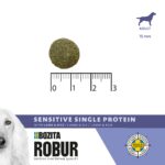 ROBUR SENSITIVE SINGLE PROTEIN LAMB