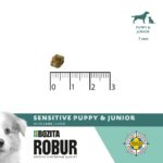 ROBUR SENSITIVE PUPPY & JUNIOR LAMB