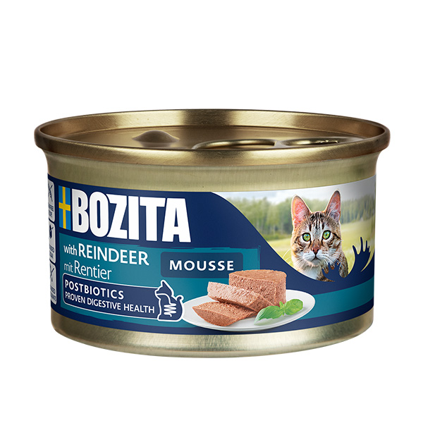 Bozita mus z reniferem