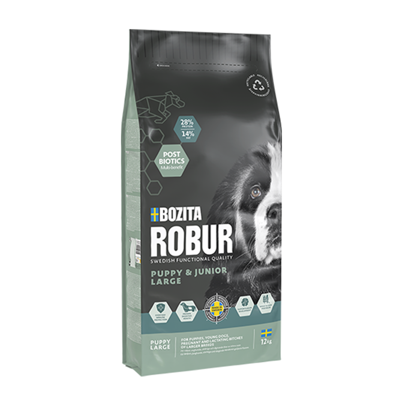 ROBUR PUPPY & JUNIOR LARGE