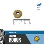 ROBUR SENIOR
