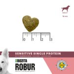 ROBUR SENSITIVE SINGLE PROTEIN WITH SALMON