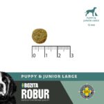 ROBUR PUPPY & JUNIOR LARGE
