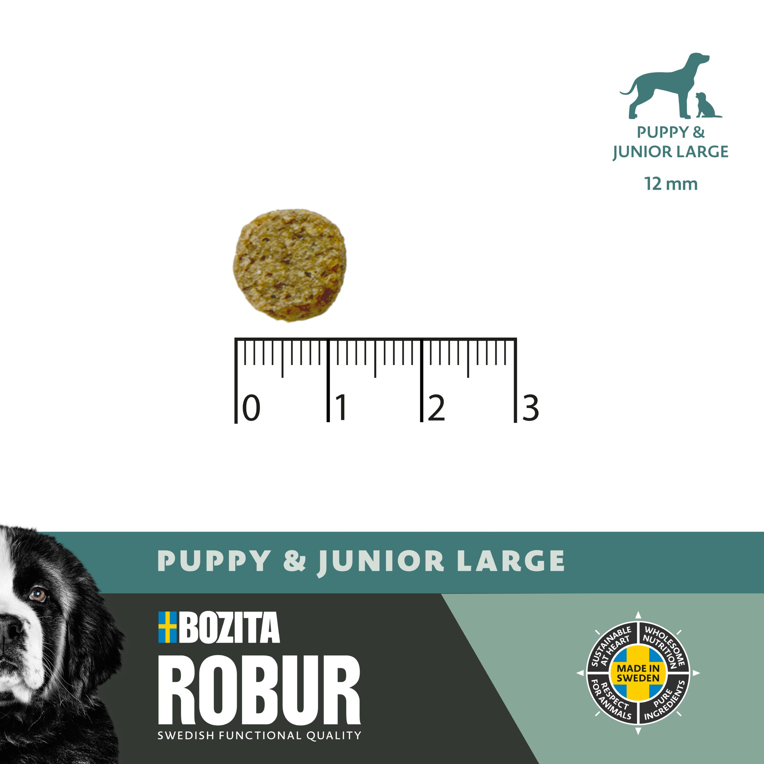 ROBUR PUPPY & JUNIOR LARGE