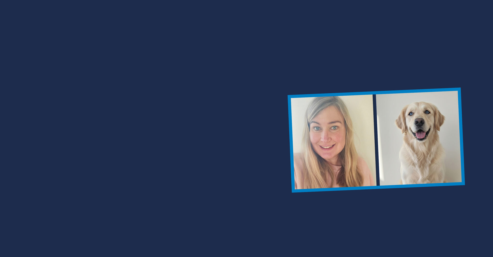 Bozita – svensktillverkat hundfoder och kattfoder