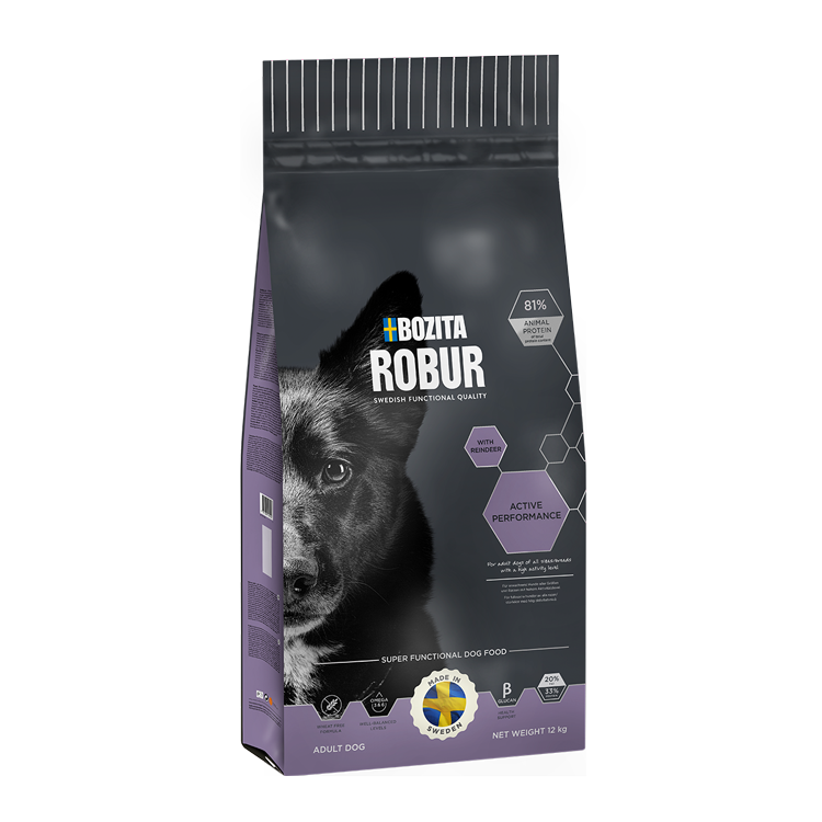 Dry food for active dogs