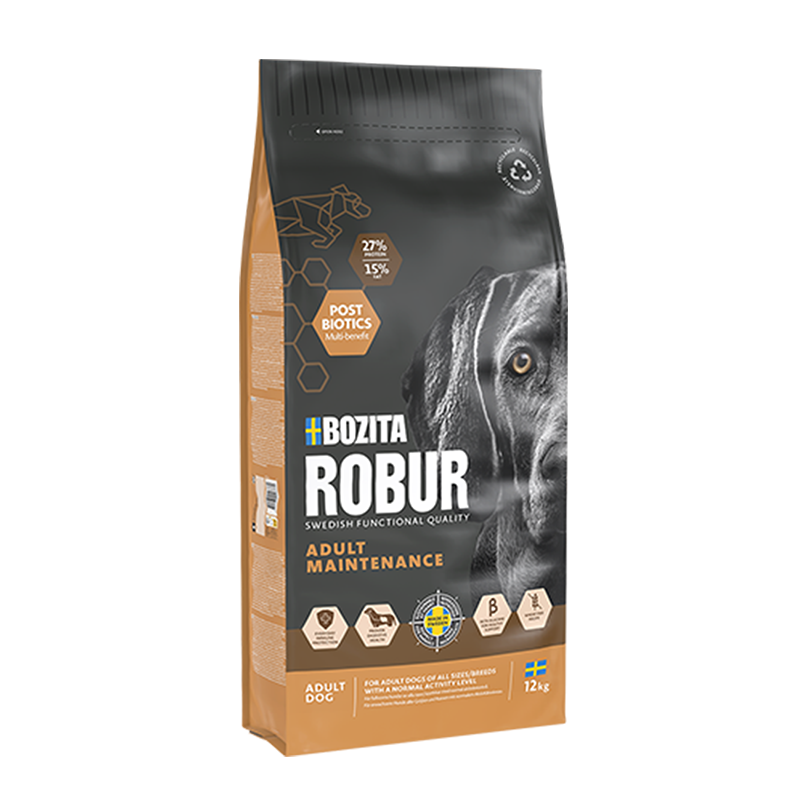 ROBUR ADULT MAINTENANCE