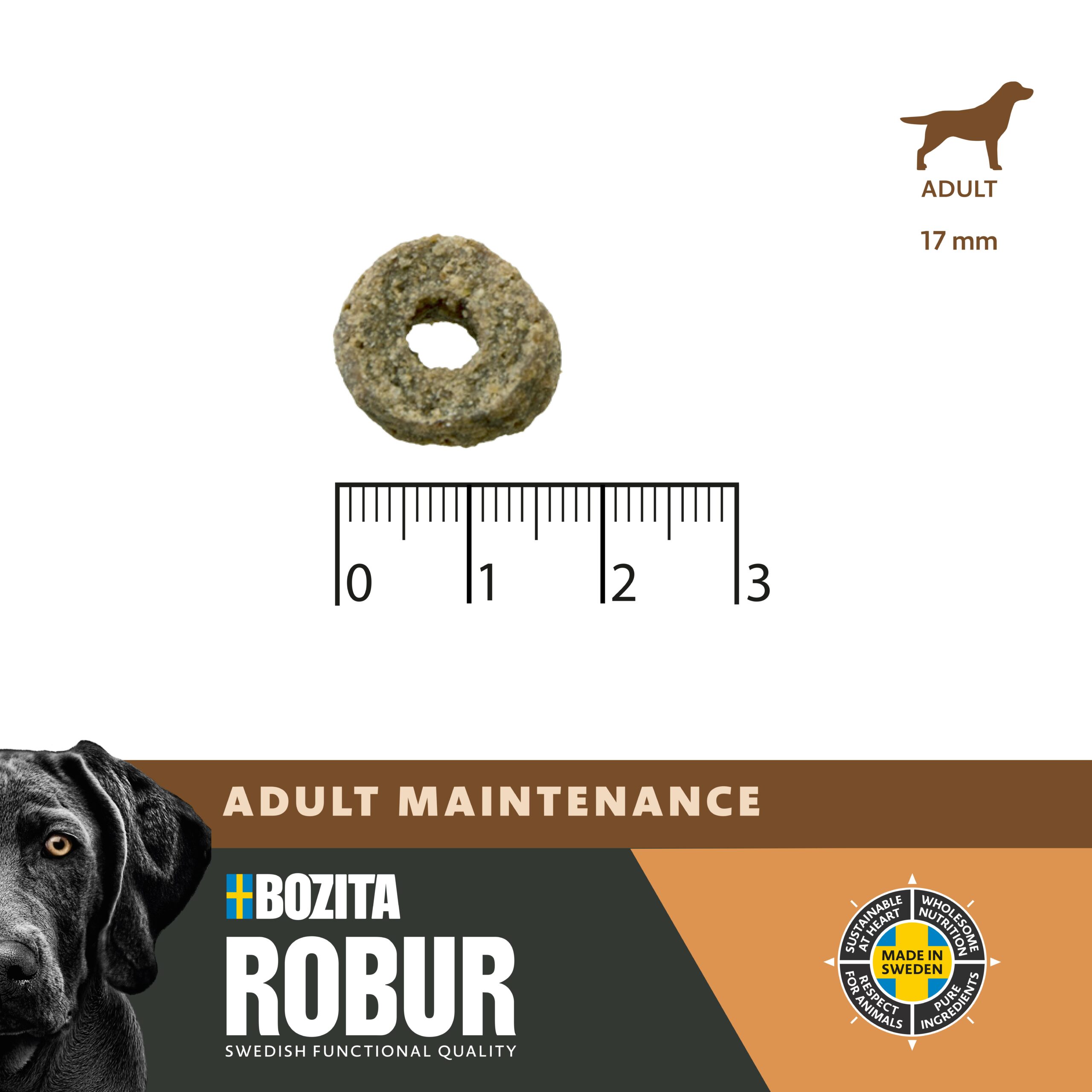 ROBUR ADULT MAINTENANCE