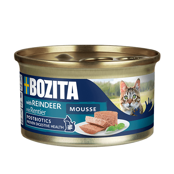 Bozita mousse with reindeer